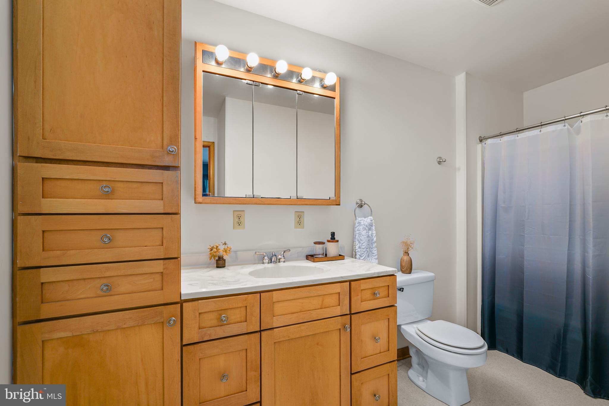 9 Kings Court Elkton, MD 21921 - Photo 14 of 33 a bathroom with a sink a toilet and shower