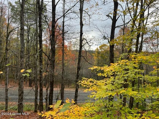 L34 Truax Road Worcester, NY 12197 - Photo 1 of 17 IMG_3572