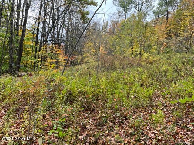 L34 Truax Road Worcester, NY 12197 - Photo 8 of 17 IMG_3565