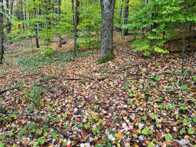 L34 Truax Road Worcester, NY 12197 - Photo 10 of 17 IMG_3576