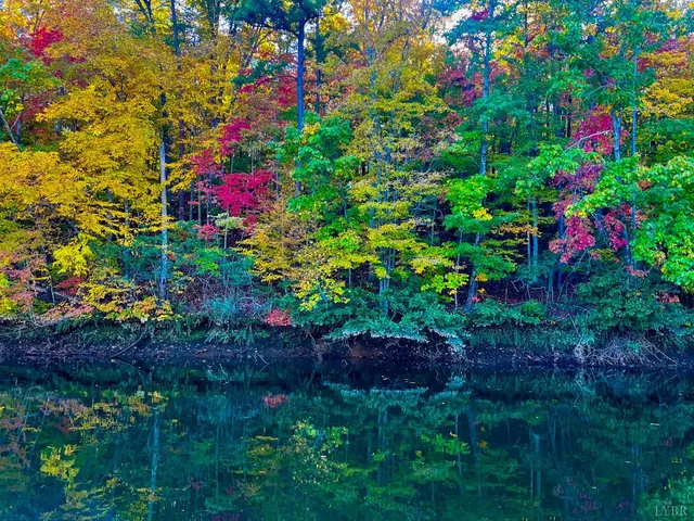 $749,900 | 1765 Heron Pointe Drive, Gretna, VA 24557