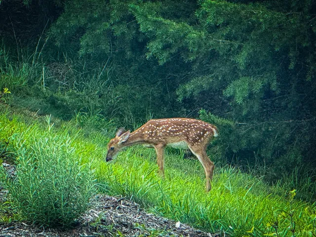 $749,900 | 1765 Heron Pointe Drive, Gretna, VA 24557