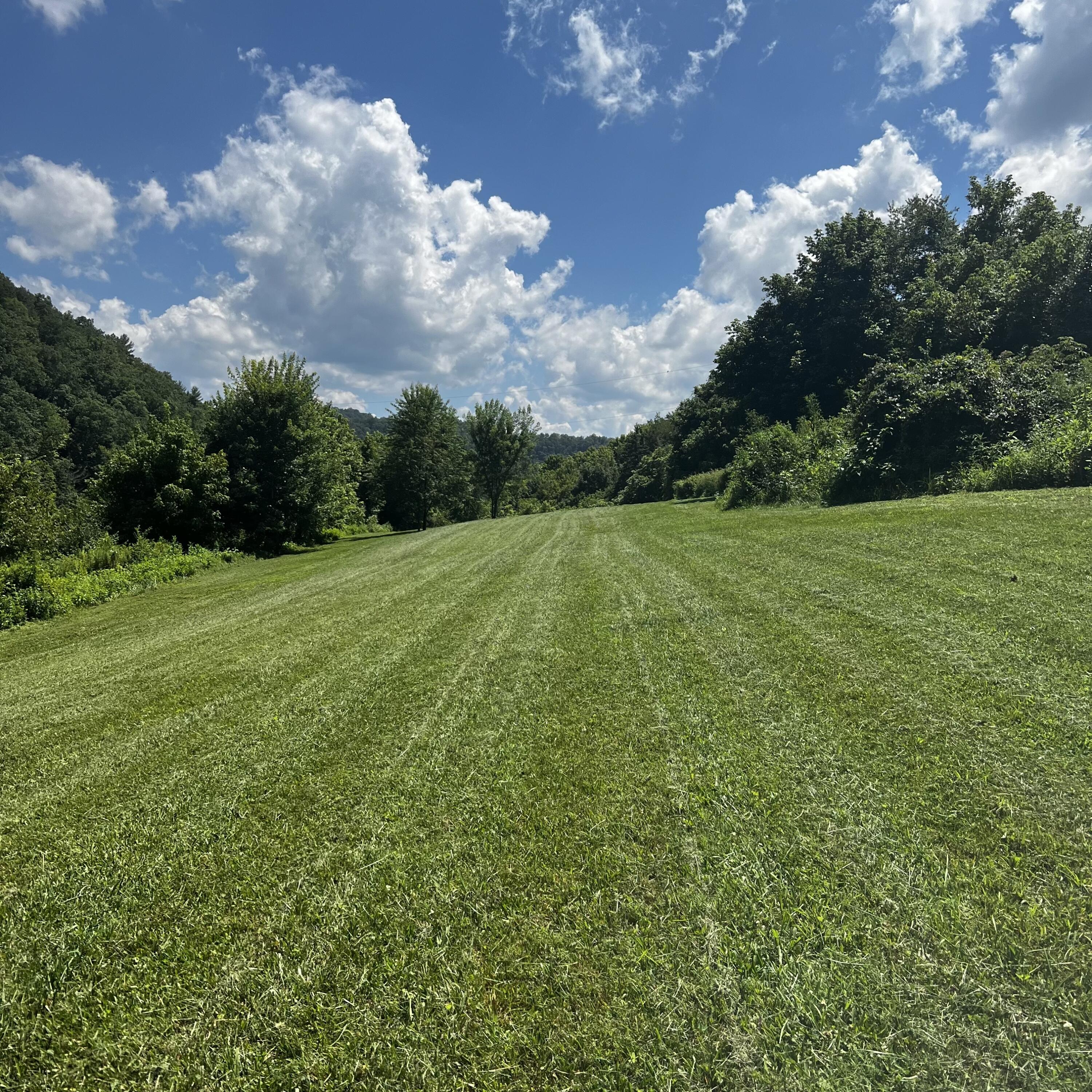 1360 Piney Flats Road Watauga, TN 37694 - Photo 1 of 7 IMG_3628