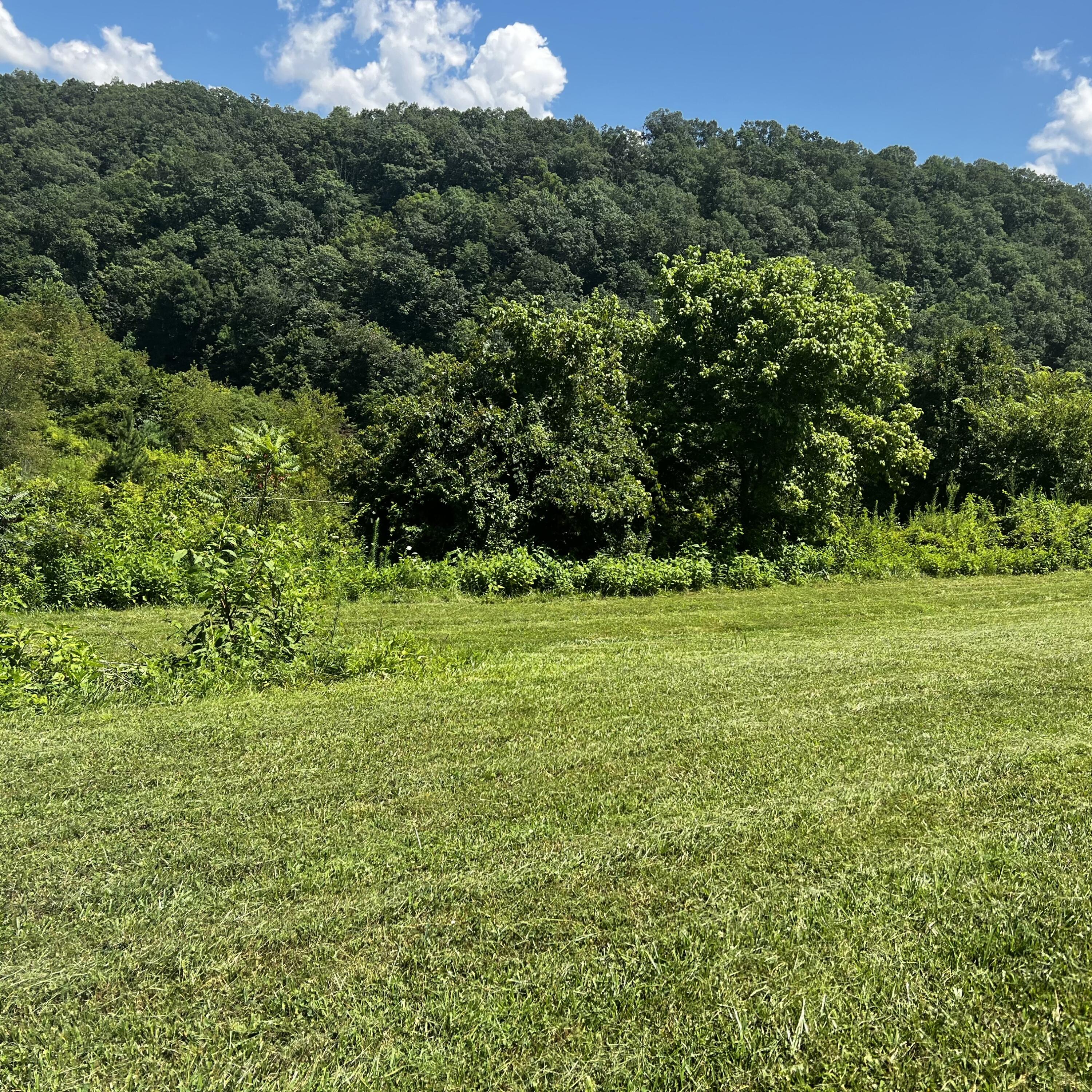 1360 Piney Flats Road Watauga, TN 37694 - Photo 2 of 7 IMG_3630