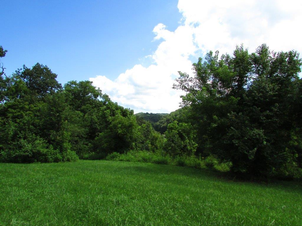 1360 Piney Flats Road Watauga, TN 37694 - Photo 3 of 7 IMG_0948 (1)