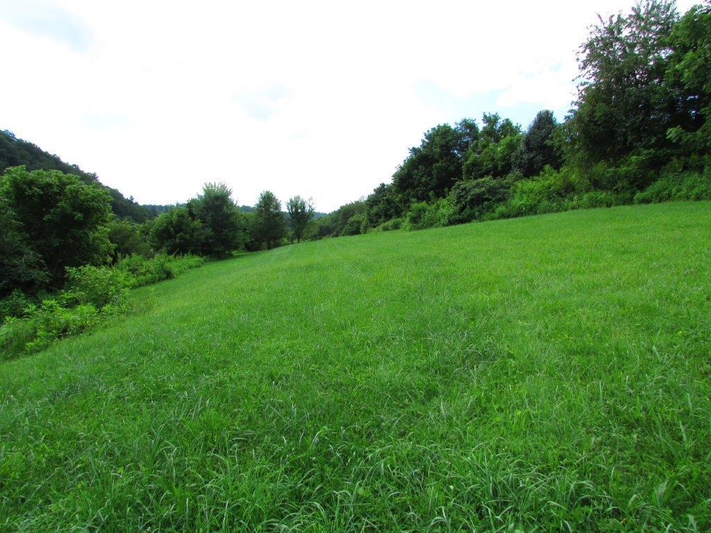 1360 Piney Flats Road Watauga, TN 37694 - Photo 4 of 7 IMG_0950