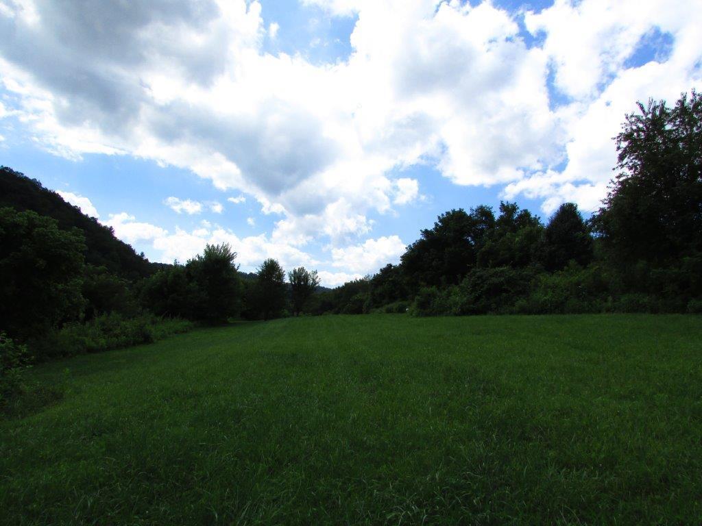 1360 Piney Flats Road Watauga, TN 37694 - Photo 5 of 7 IMG_0955 (1)