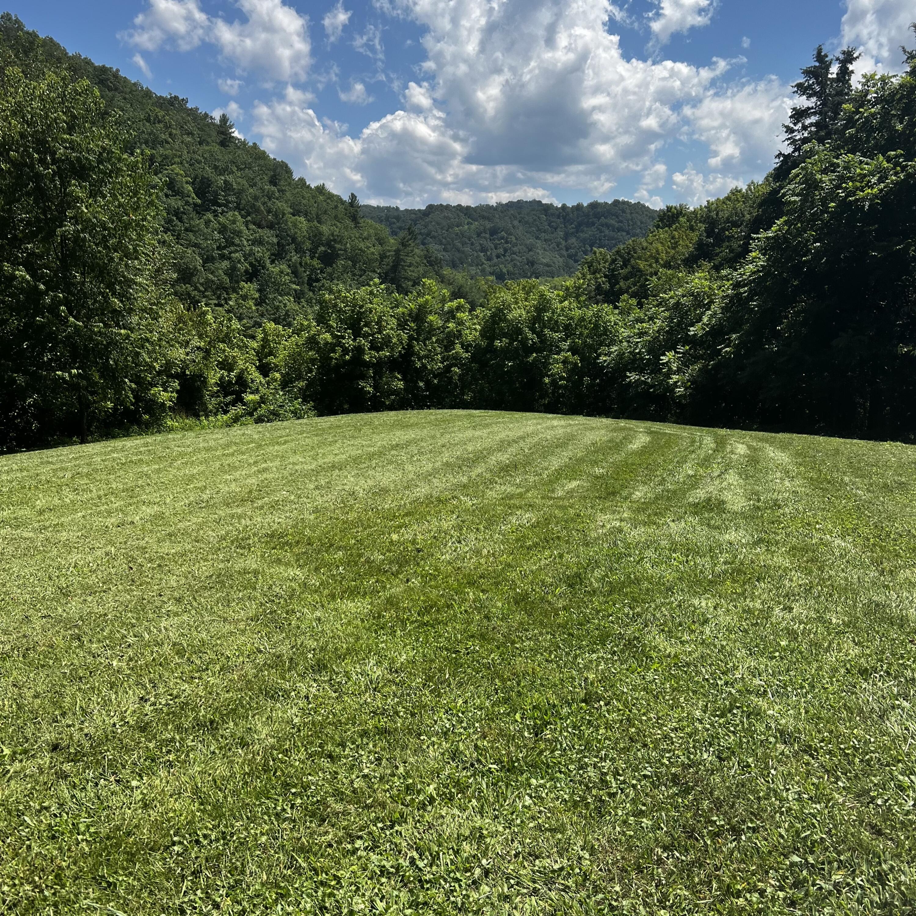 1360 Piney Flats Road Watauga, TN 37694 - Photo 6 of 7 IMG_3631
