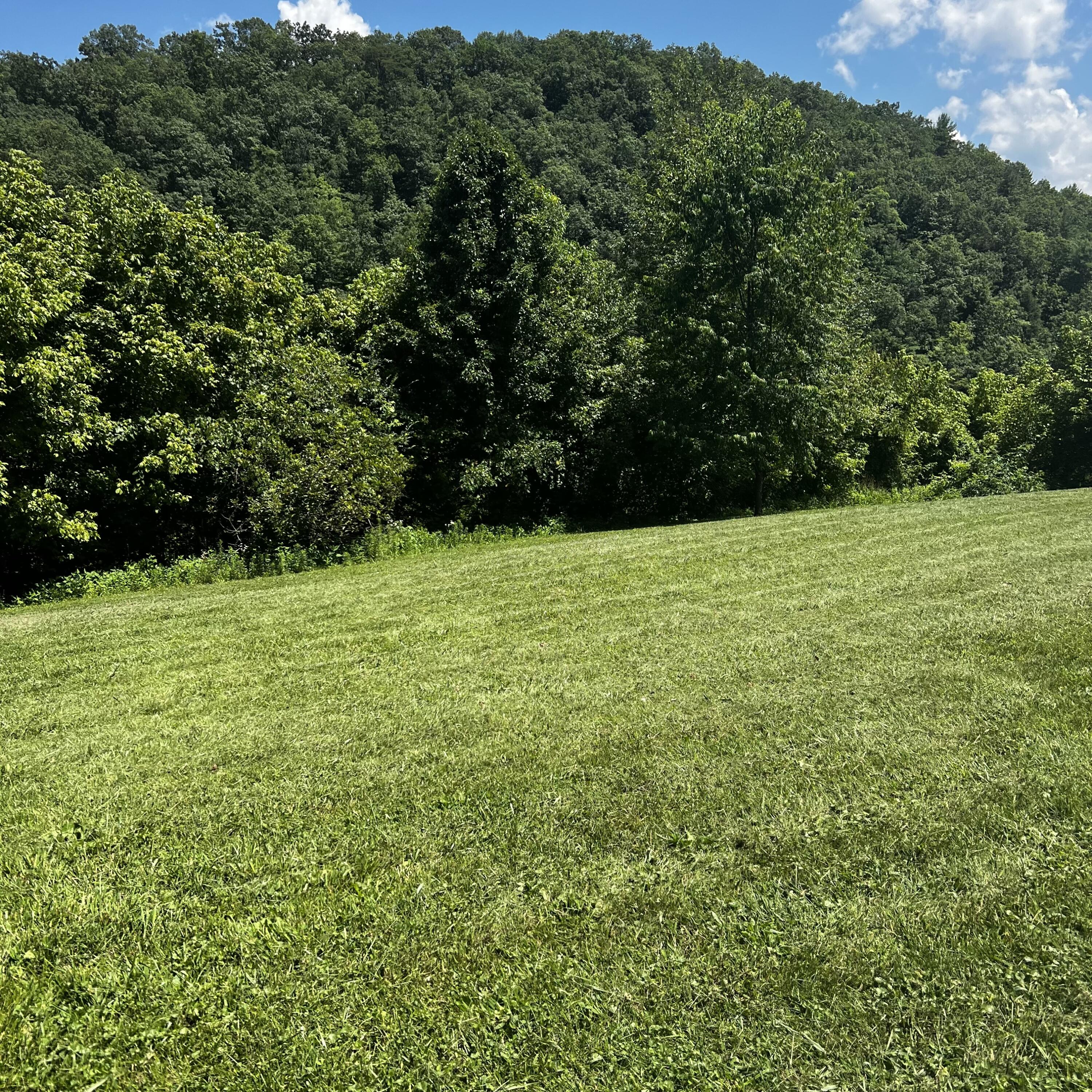 1360 Piney Flats Road Watauga, TN 37694 - Photo 7 of 7 IMG_3632