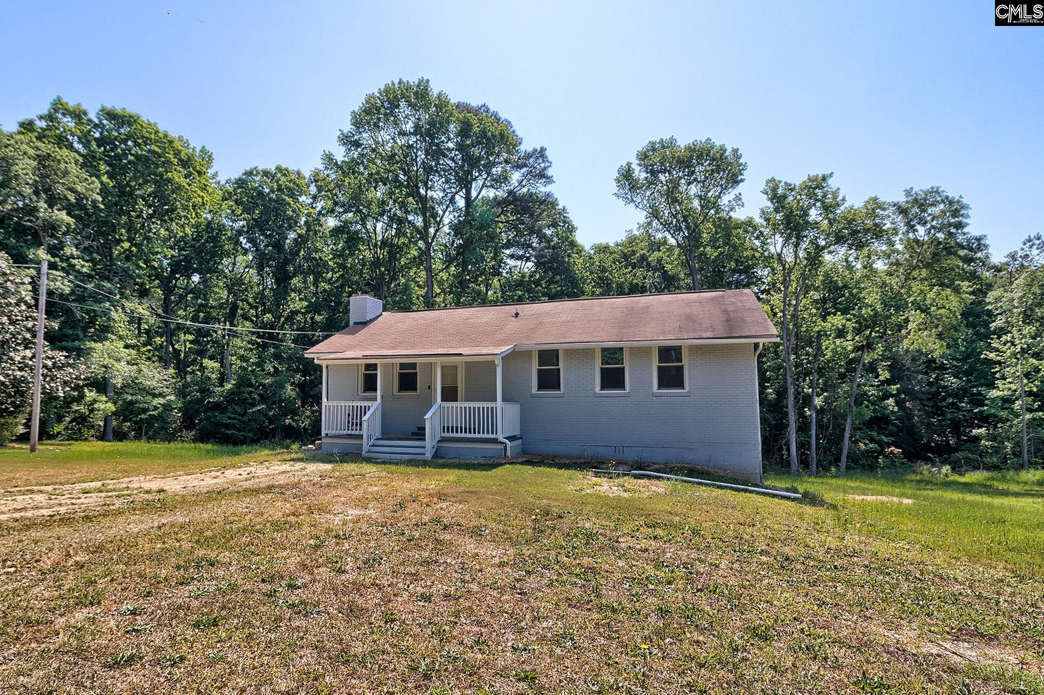 1133 Old Hilton Road Chapin, SC 29036 - Photo 1 of 50