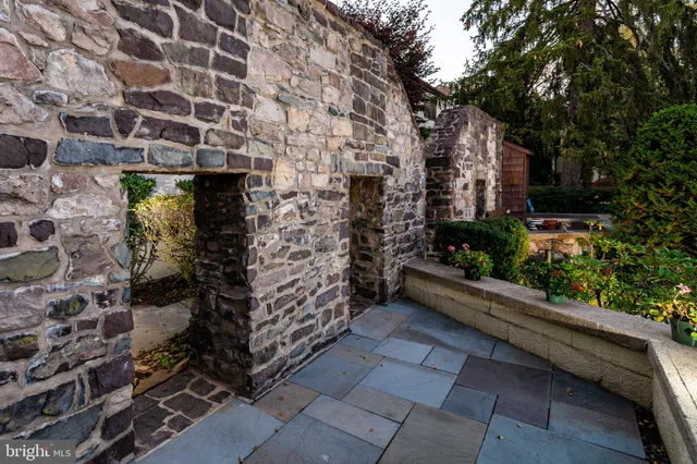 a view of a backyard with plants and a garden