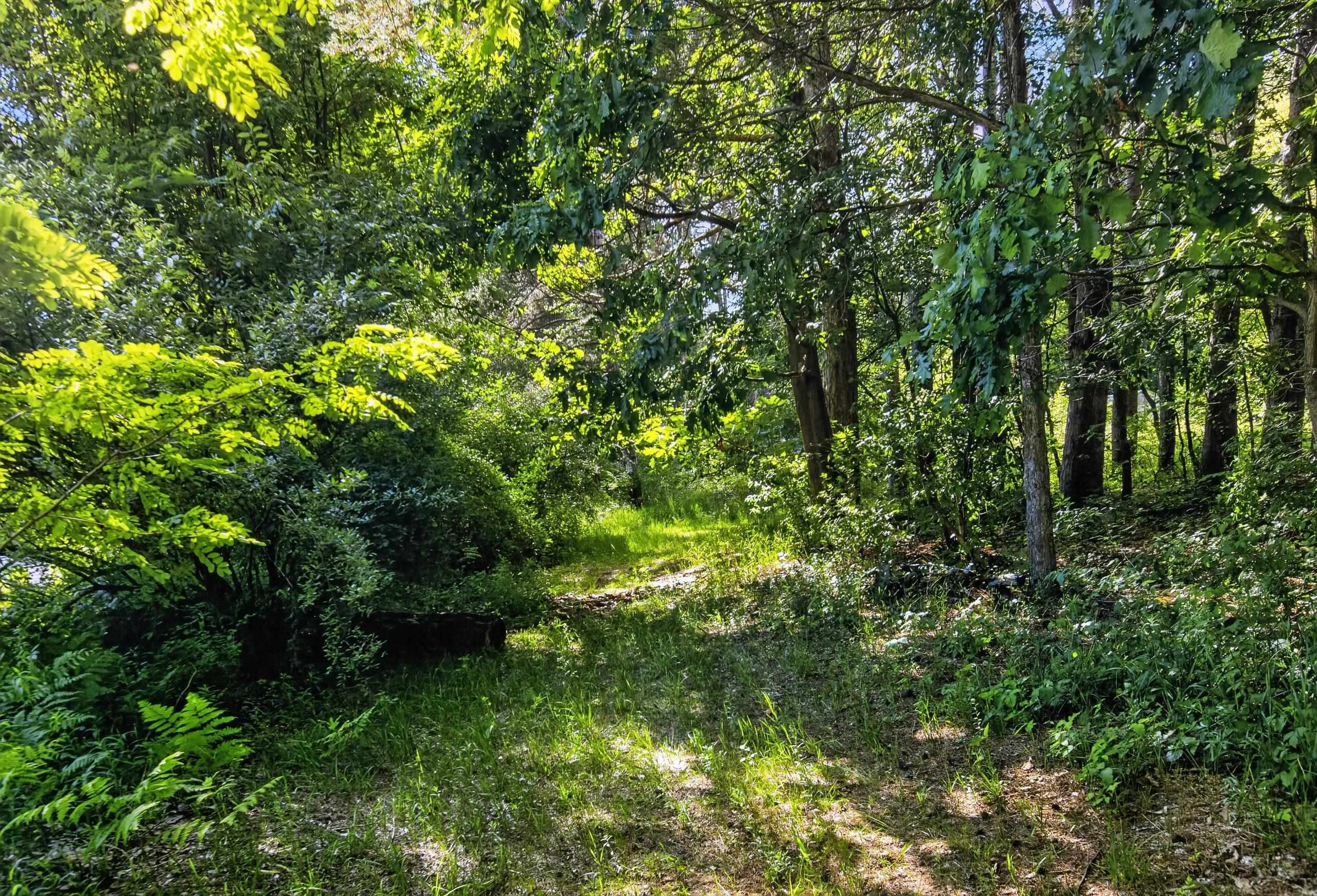 2248 Vickory Road Caro, MI 48723 - Photo 44 of 60