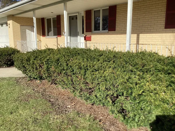 $2,550 | 155 Seymour Avenue, Grayslake, IL 60030