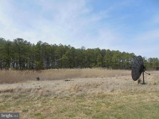 2712 Wesley Church Road Crapo, MD 21626 - Photo 14 of 20 View