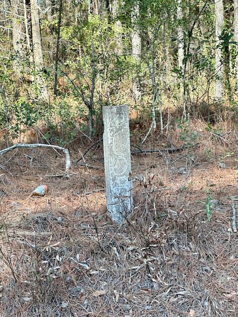 0 Campground Road Walterboro, SC 29488 - Photo 1 of 3 IMG_5191