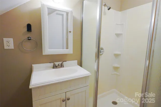 a bathroom with a sink a mirror a shower and vanity