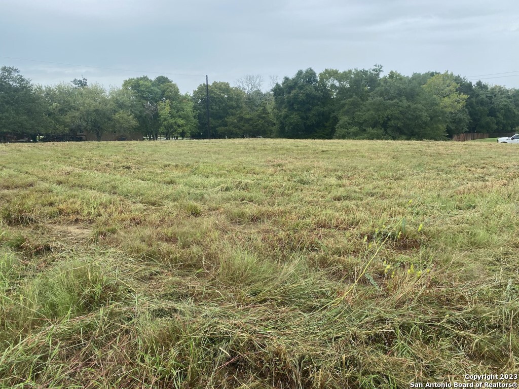 3100 Fm 646 Rd N Santa Fe, TX 77510 - Photo 2 of 4 a view of a field with trees in the background