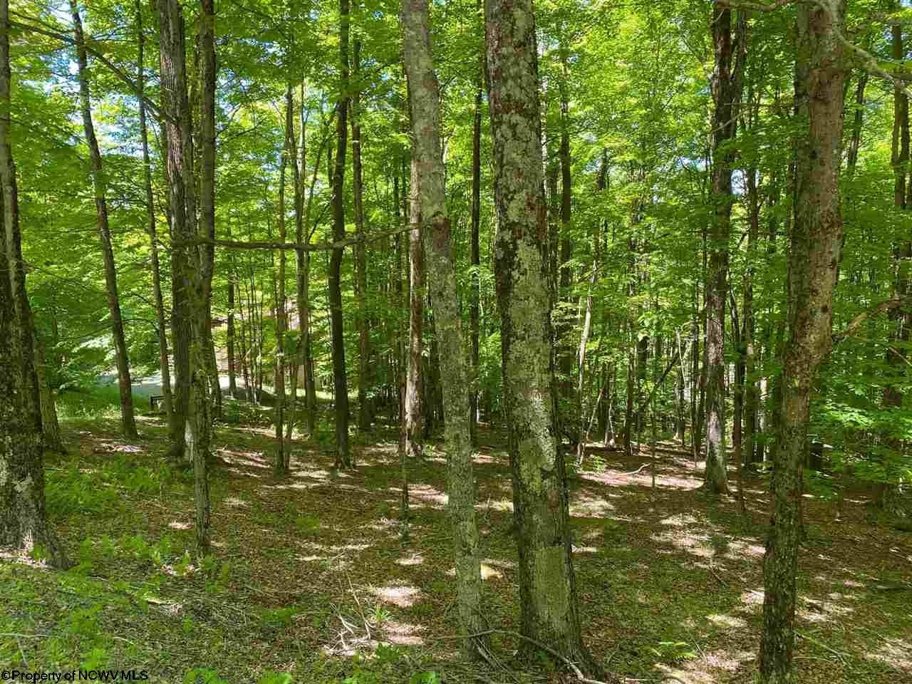 137 Ridge Davis Wv 26260 Davis, WV 26260 - Photo 3 of 12 Gallery Image 3