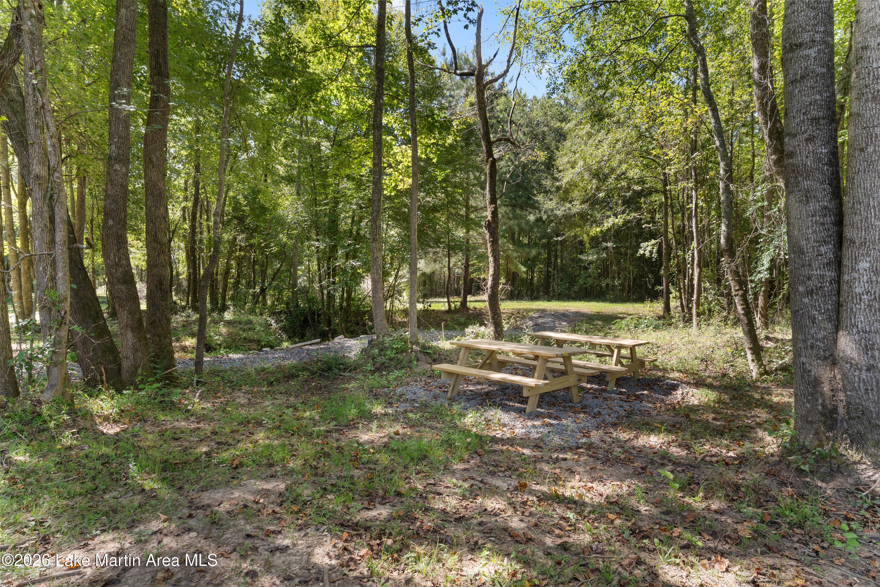 561 Deer Trail Road Daviston, AL 36256 - Photo 66 of 71 Gallery Image 66