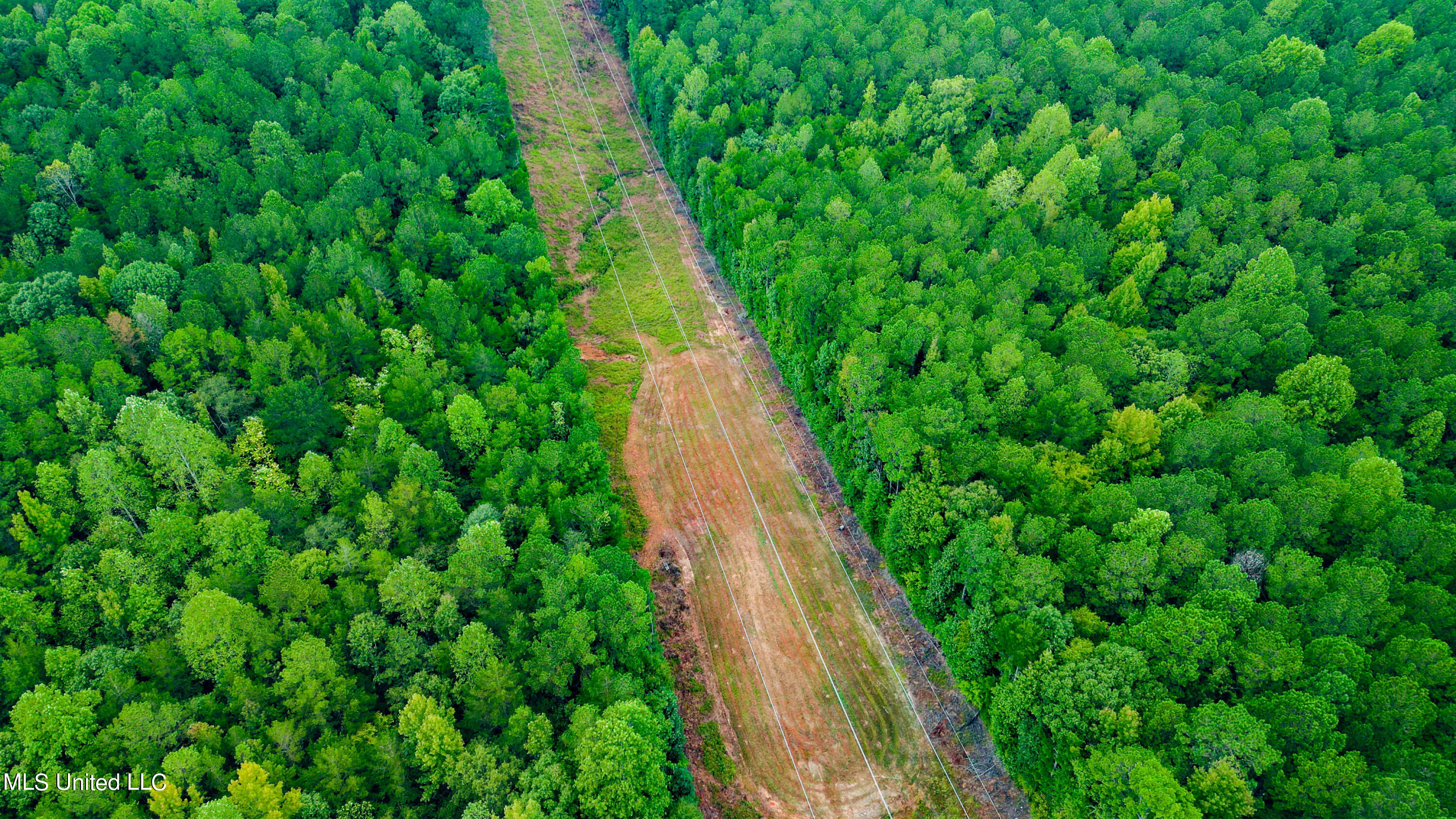 5971 430th Road, Unit COUNTRY Quitman, MS 39355 - Photo 14 of 27 Quitman Land-7