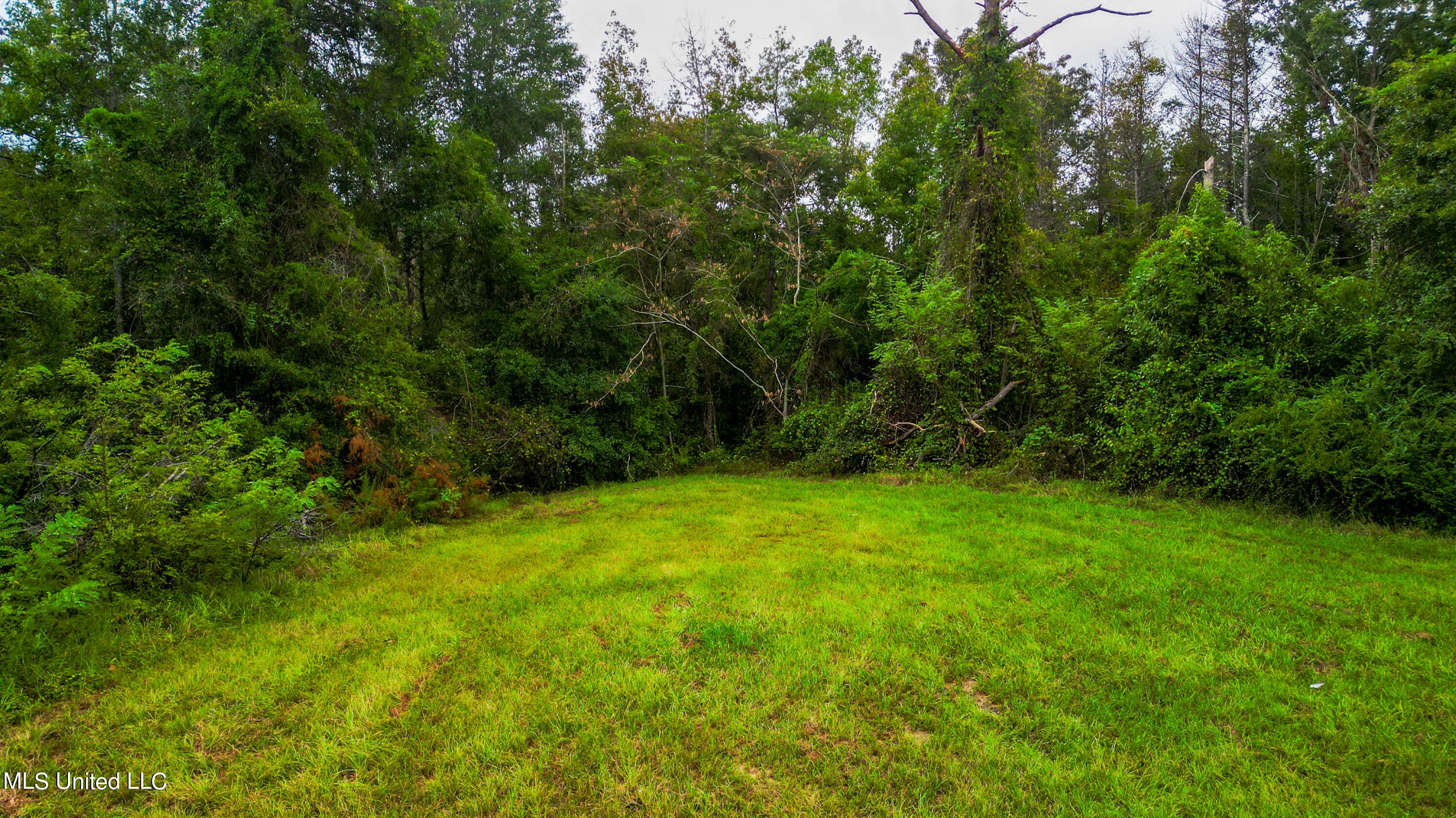 5971 430th Road, Unit COUNTRY Quitman, MS 39355 - Photo 8 of 27 Quitman Land-1