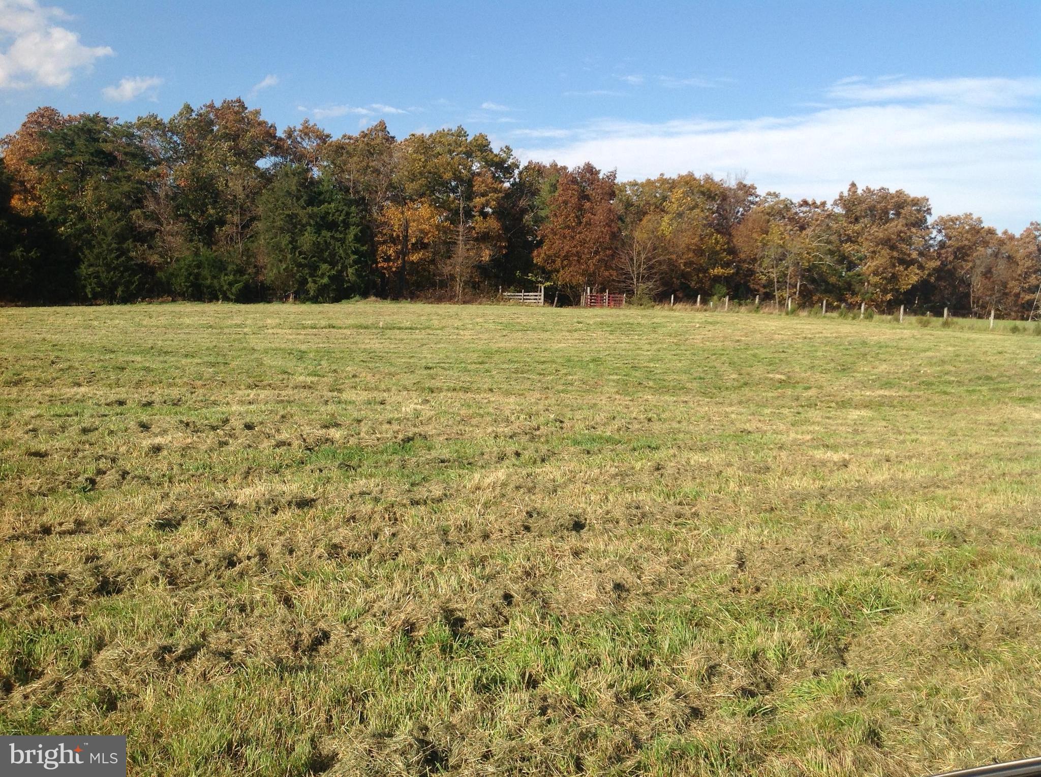 Pifer Road North Star Tannery, VA 22654 - Photo 11 of 17 View looking towards Road & N Mtn. to the west