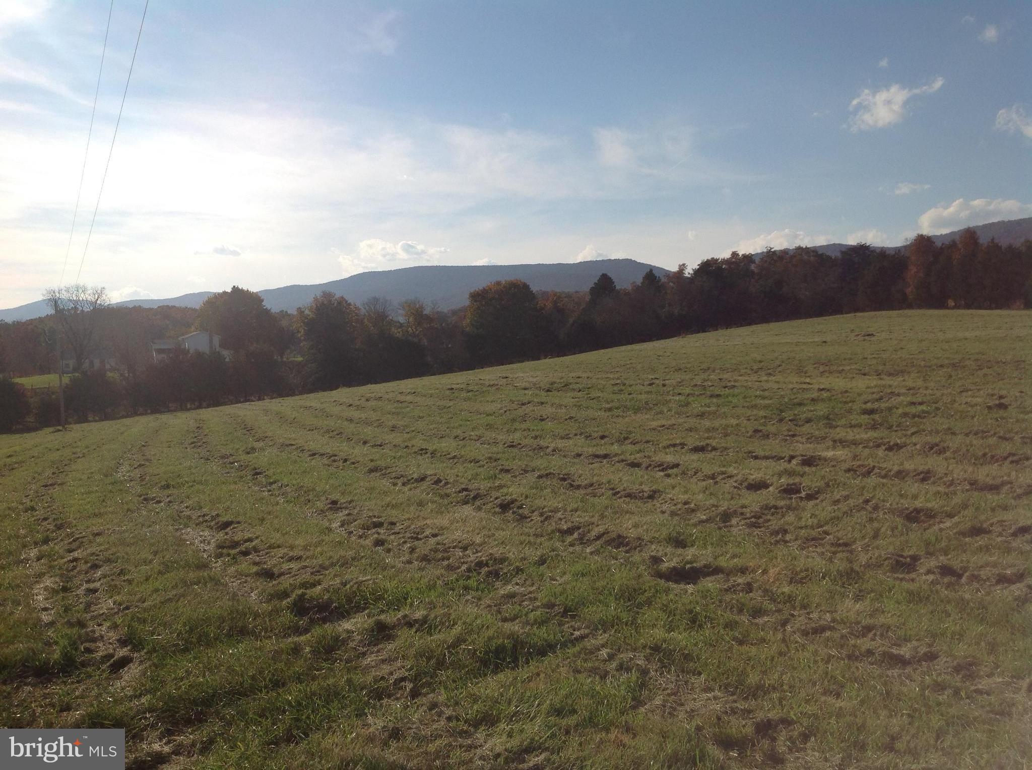Pifer Road North Star Tannery, VA 22654 - Photo 12 of 17 View looking towards Road & N Mtn. to the west
