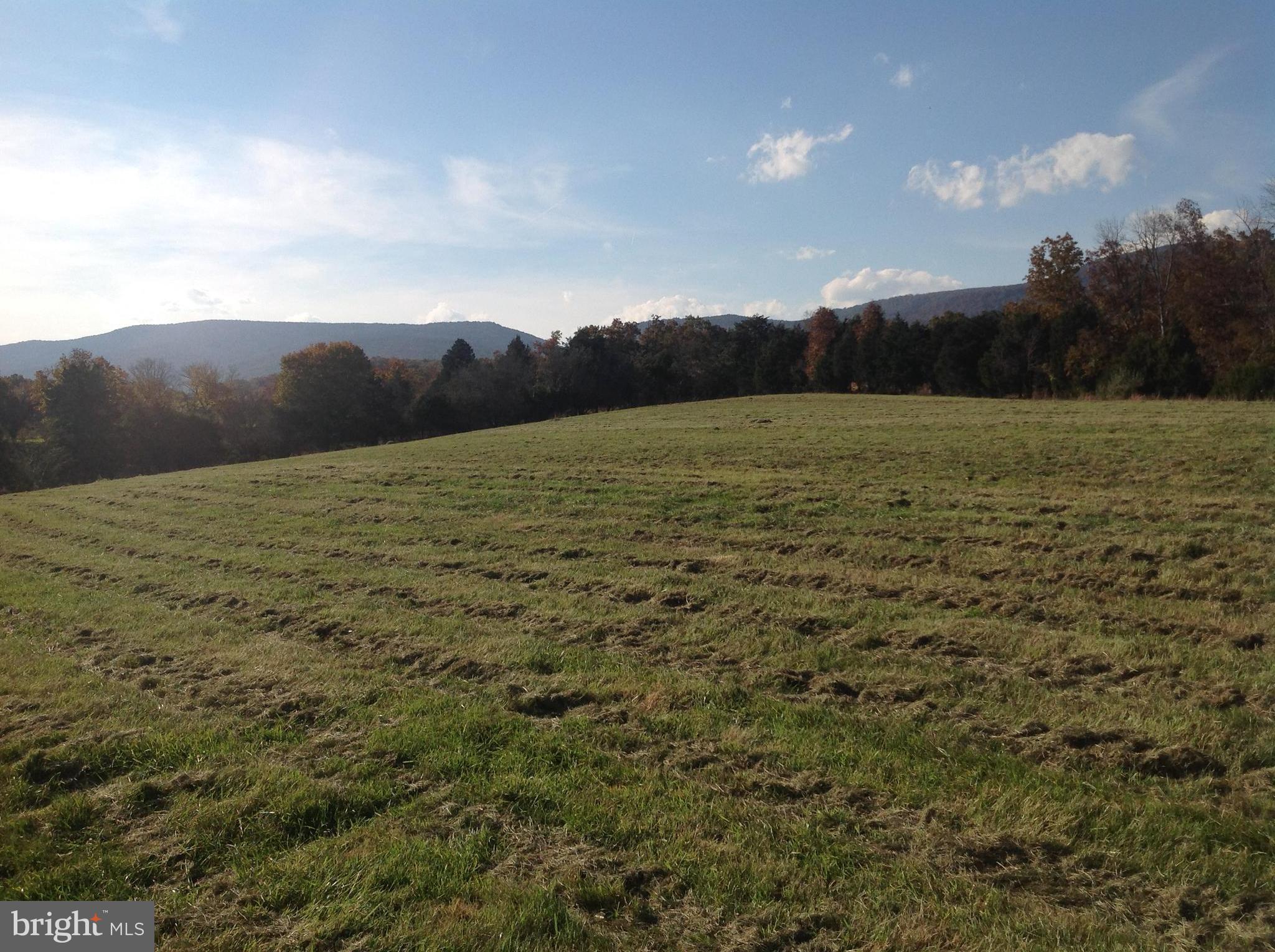 Pifer Road North Star Tannery, VA 22654 - Photo 13 of 17 View looking towards Road & N Mtn. to the west