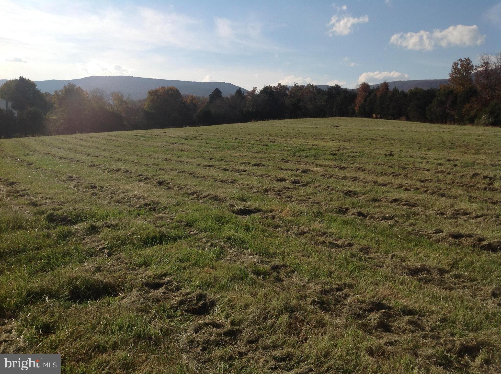 View looking towards Road & N Mtn. to the west