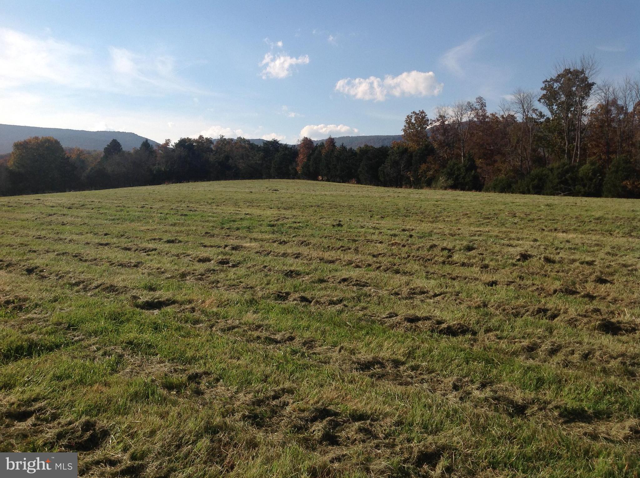 Pifer Road North Star Tannery, VA 22654 - Photo 8 of 17 View looking towards Road & N Mtn. to the west