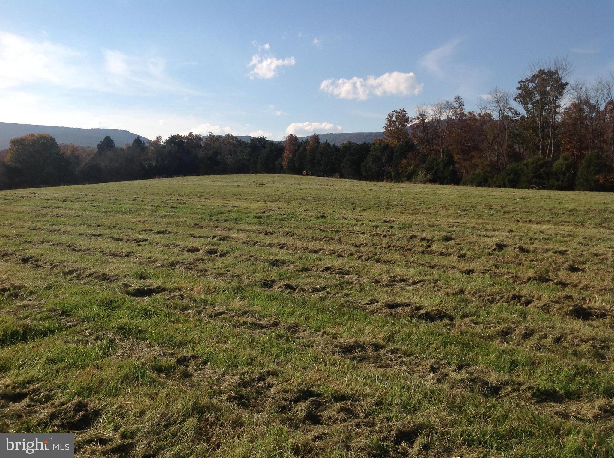 Pifer Road North Star Tannery, VA 22654 - Photo 9 of 17 View looking towards Road & N Mtn. to the west
