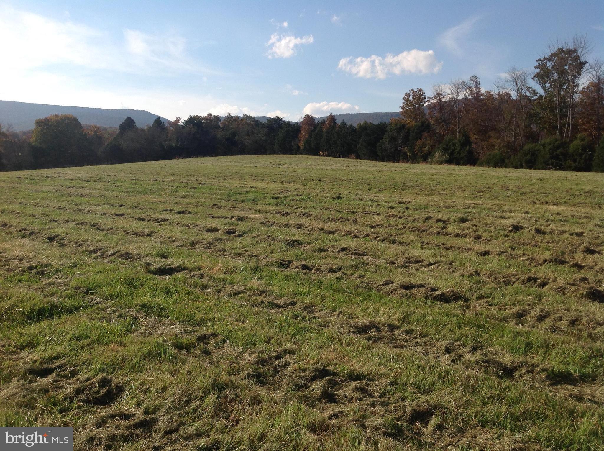 Pifer Road North Star Tannery, VA 22654 - Photo 10 of 17 View looking towards Road & N Mtn. to the west