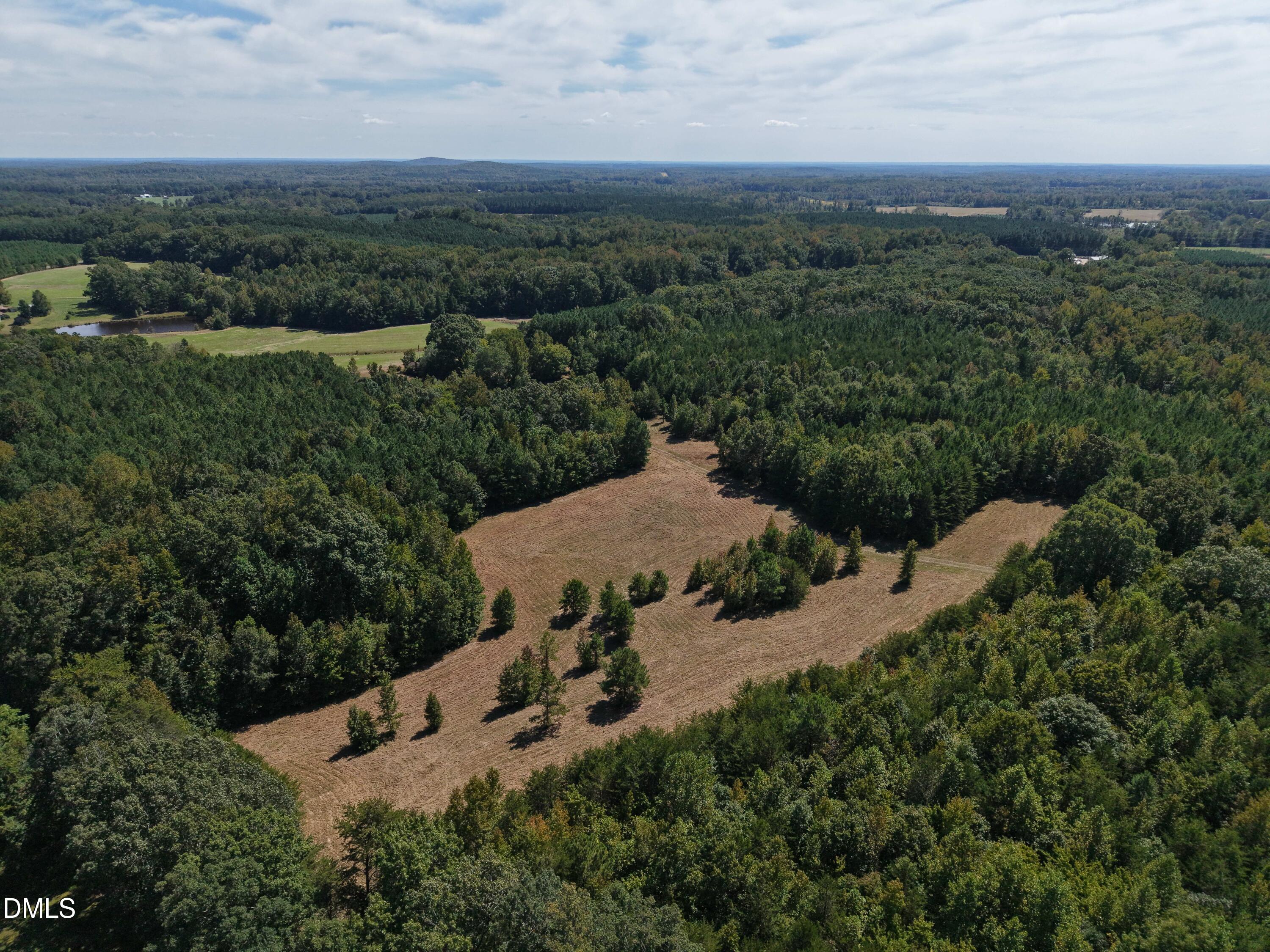 5021 Clayton Road Rougemont, NC 27572 - Photo 10 of 19 DJI_20250913133630_0062_D