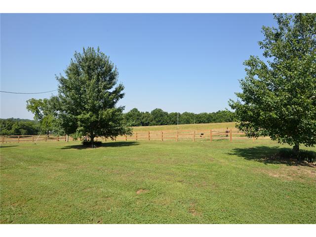 1967 Alf Harris Road Prospect, TN 38477 - Photo 15 of 20 Plenty of back yard for children or grandchildren to play.