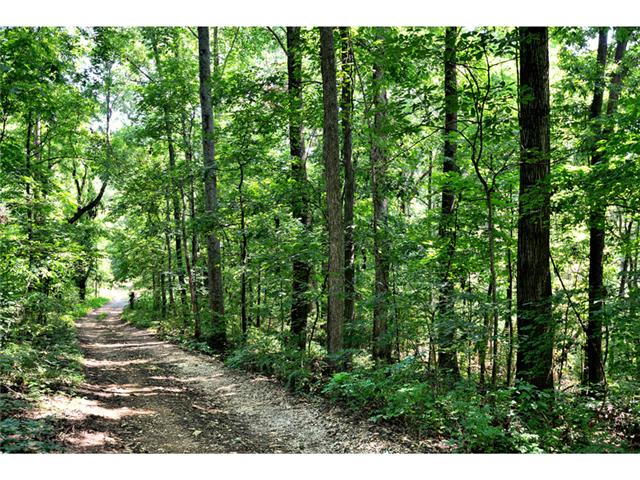 1967 Alf Harris Road Prospect, TN 38477 - Photo 20 of 20 Enjoy this beautiful driveway as you come and go to your own slice of paradise.