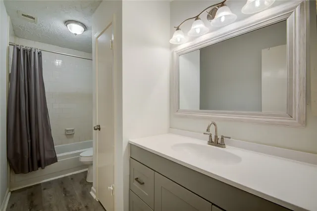 a bathroom with a sink a toilet and a mirror