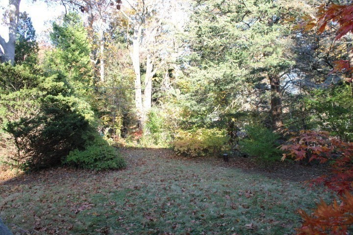 34 R Summer Street Rockport, MA 01966 - Photo 5 of 22 a view of a forest with trees in the background