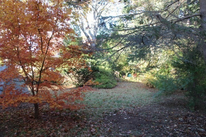 34 R Summer Street Rockport, MA 01966 - Photo 6 of 22 a view of a forest with lots of trees