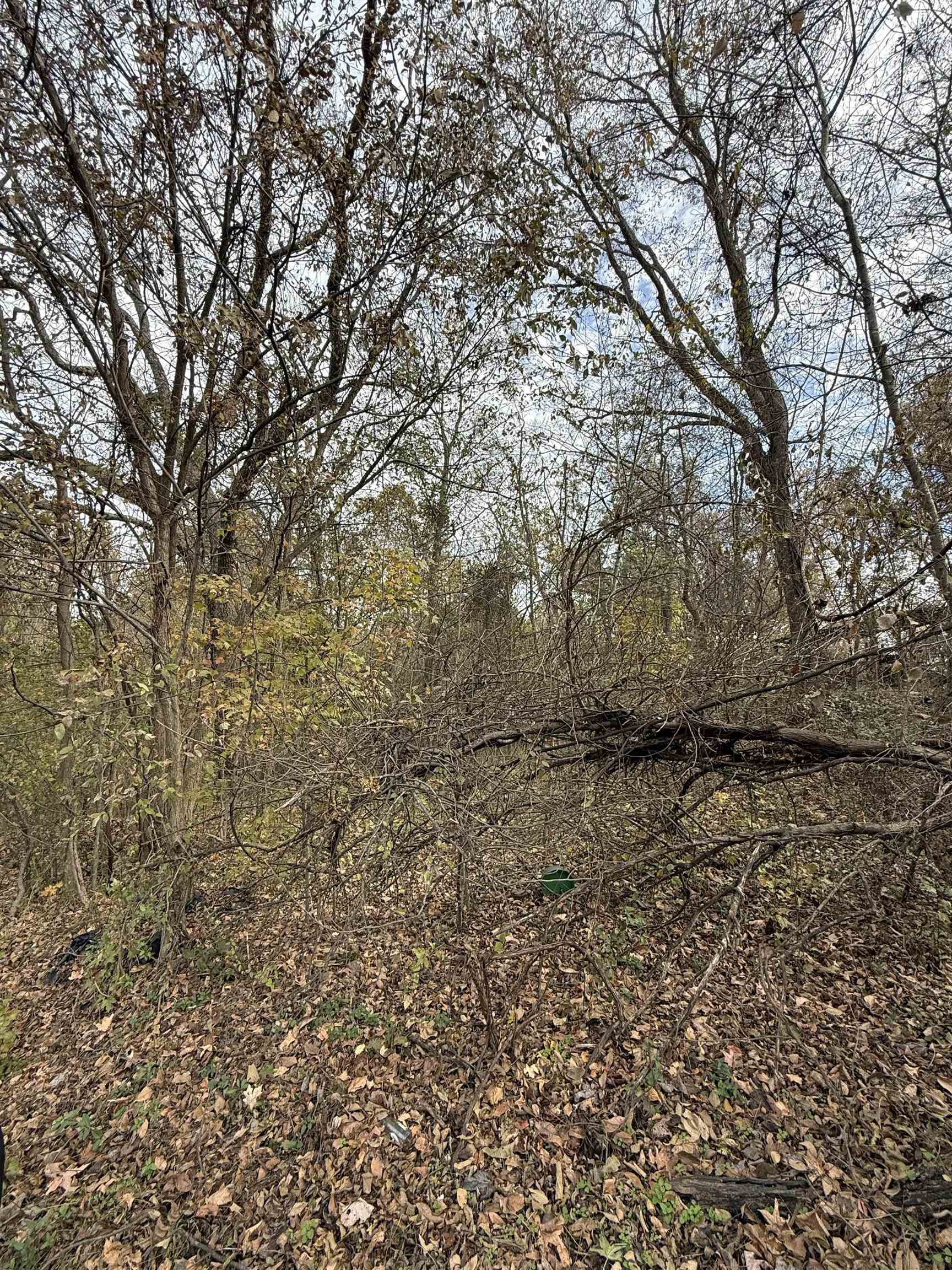 0 Tichenor Street Ripley, TN 38063 - Photo 3 of 5 a view of outdoor space and a yard