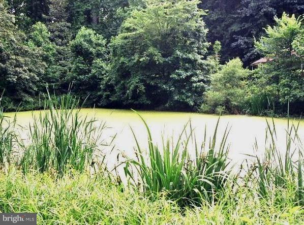 2711 Ritchie Marlboro Road Upper Marlboro, MD 20774 - Photo 22 of 30 Lovely Pond