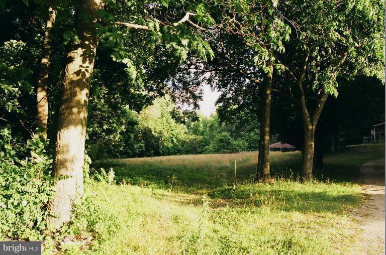 2711 Ritchie Marlboro Road Upper Marlboro, MD 20774 - Photo 23 of 30 Trees and Rear Pasture