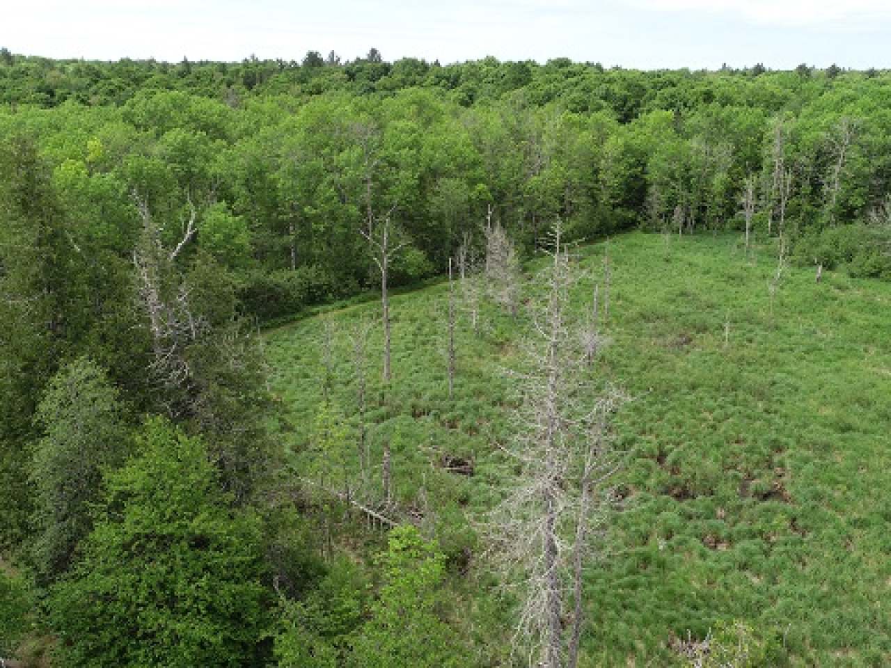 8389 North N End Road Mercer, WI 54547 - Photo 18 of 26 Gallery Image 18
