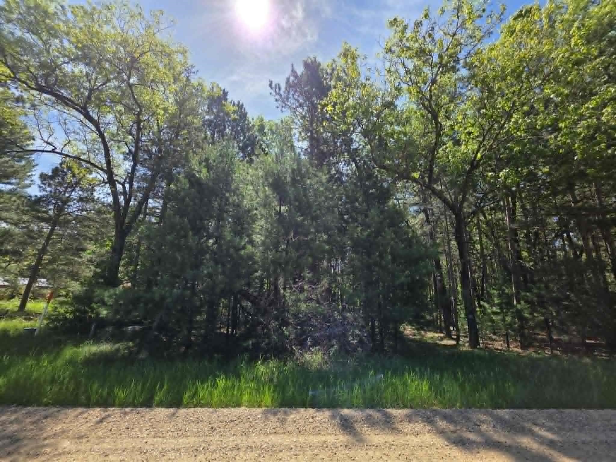 Lot 4 Czech Friendship, WI 53934 - Photo 1 of 7
