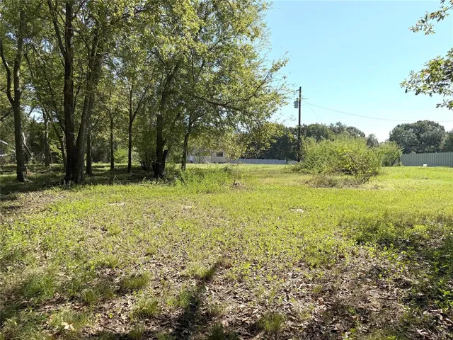 a view of outdoor space with trees all around