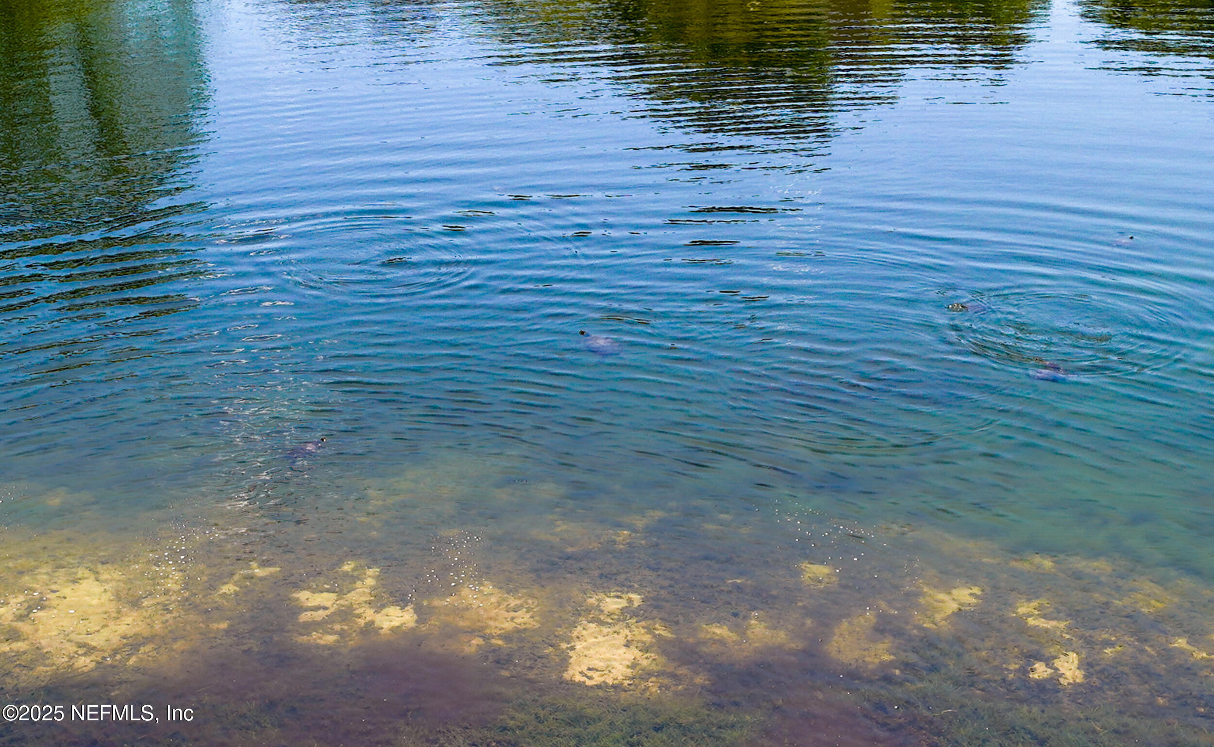 87529 Creekside Drive Yulee, FL 32097 - Photo 37 of 42 87529 creekside dr-040