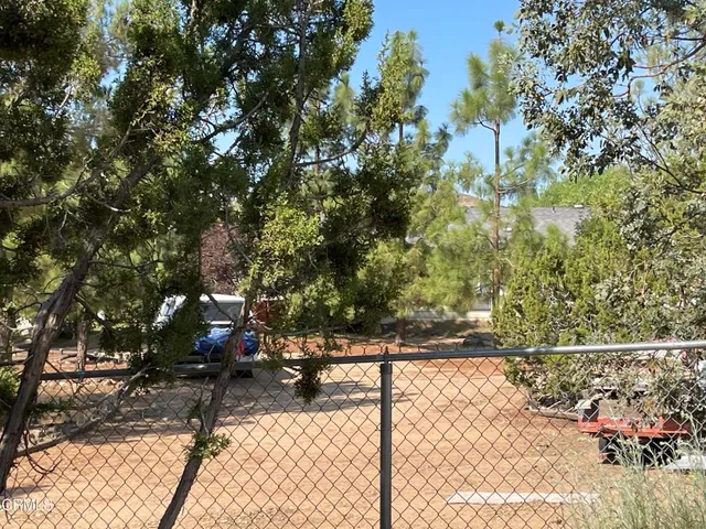 a view of a yard with plants and a tree