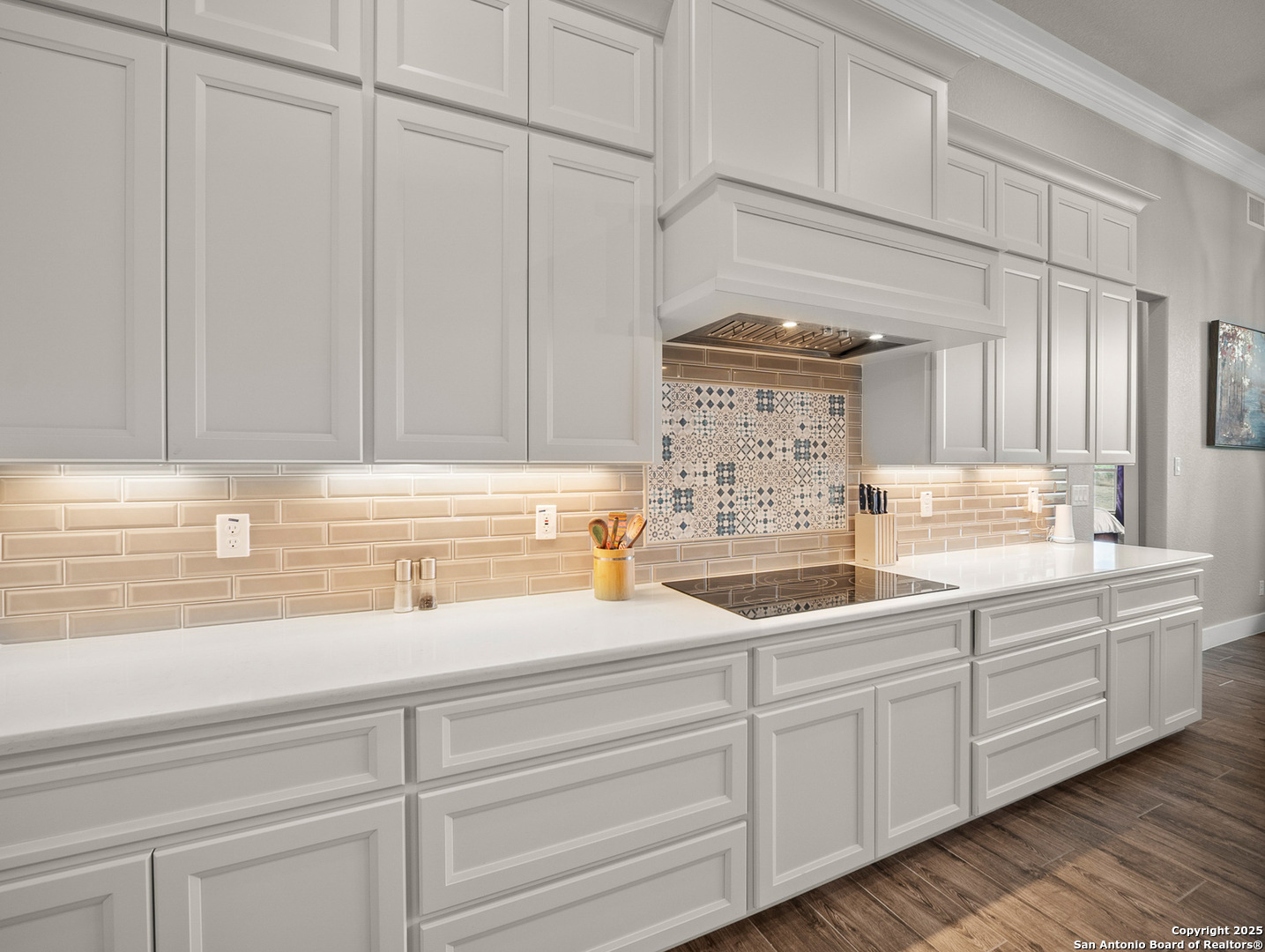 451 Stone Loop Castroville, TX 78009 - Photo 16 of 50