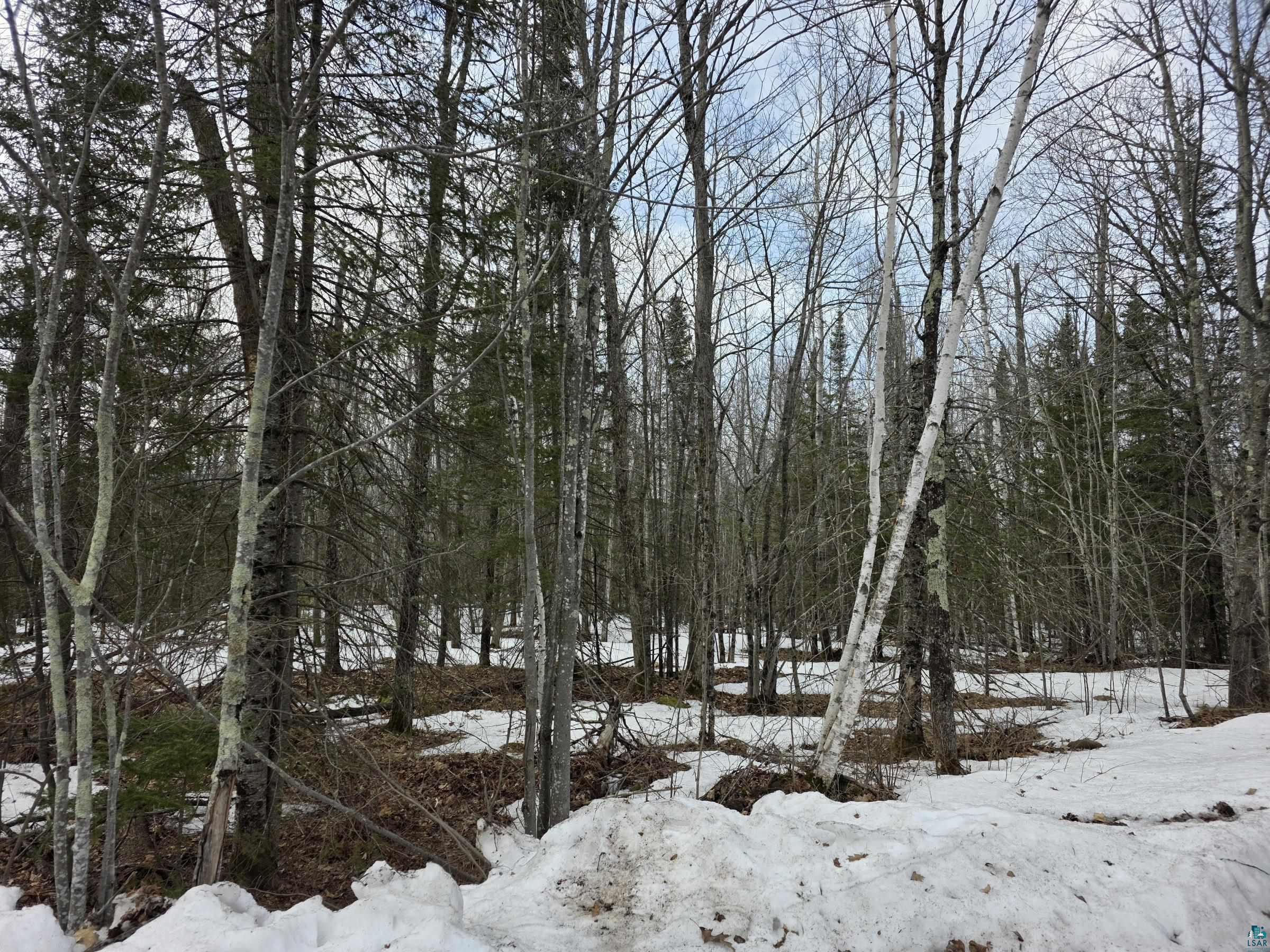 Xxx Stark Road Cloquet, MN 55720 - Photo 1 of 4