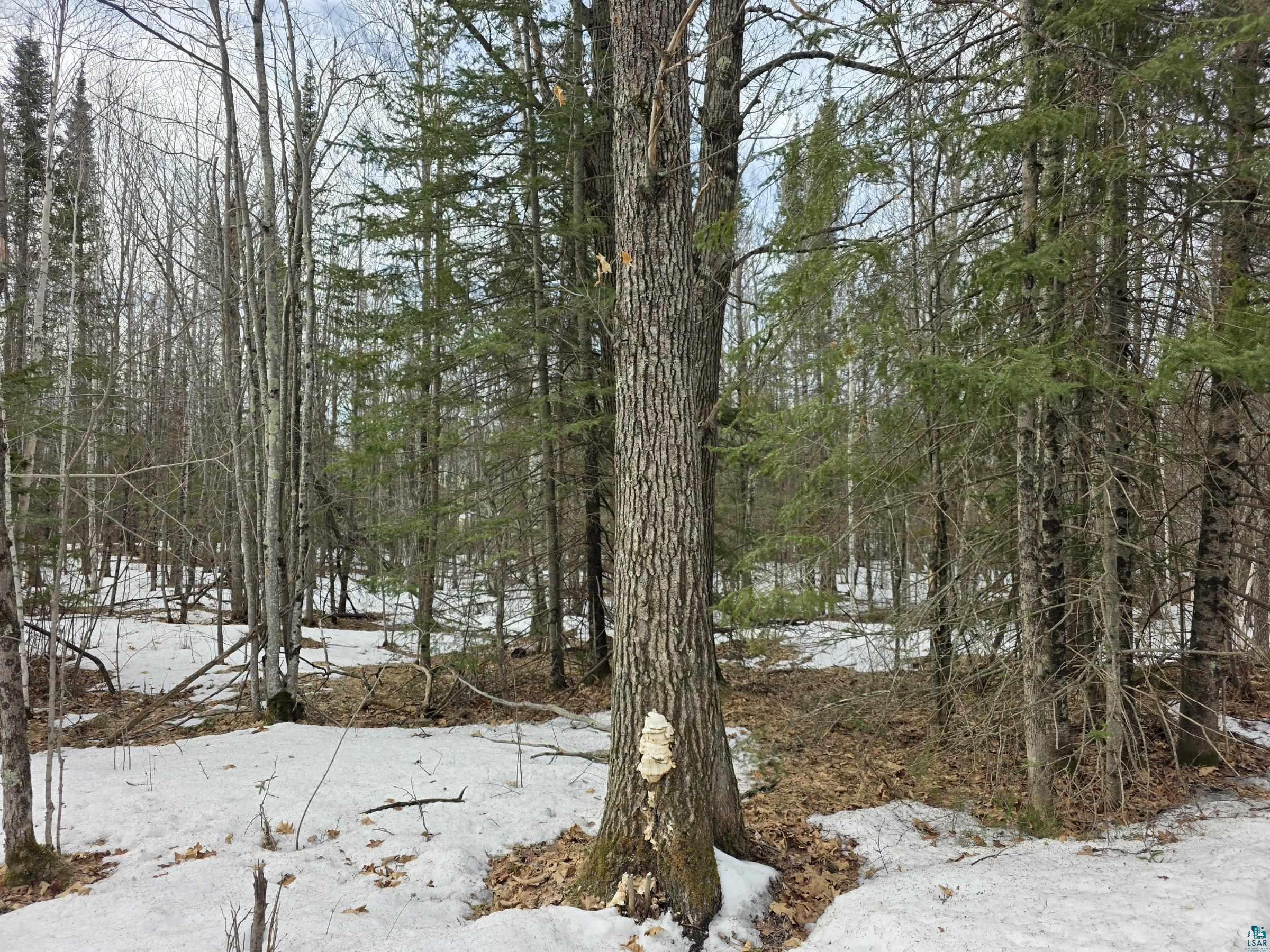 Xxx Stark Road Cloquet, MN 55720 - Photo 2 of 4