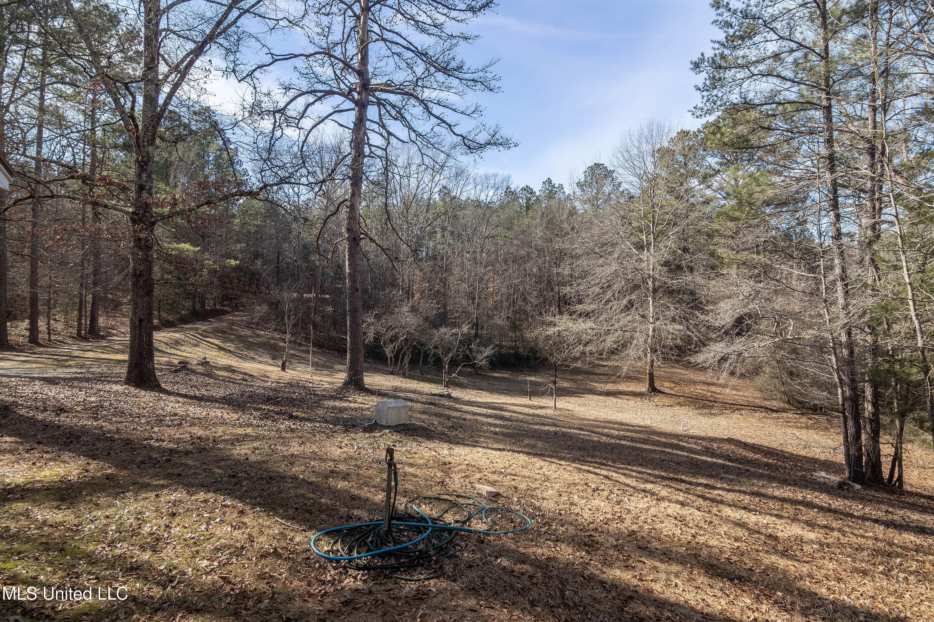 102 Gadd Road Potts Camp, MS 38659 - Photo 17 of 18 IMG_0364-HDR